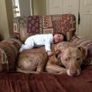 Фото Подборка из 21 милых фото: Спящие дети и собаки. Ми-ми-ми... из раздела  /