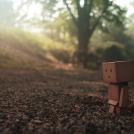 Фото Приключения человечка из картонной коробки Данбо: 131 фото из раздела  /