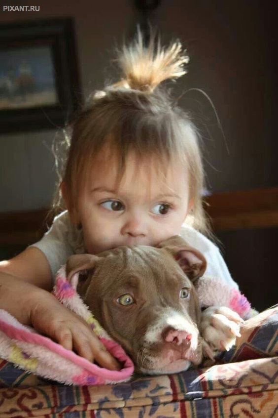 Фото Дети и собаки: обнимашки. Коллекция 51 супер милых фото из раздела  /