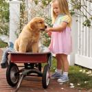 Играем в доктора. Вот эти ягоды, пациент, вам необходимо съесть.