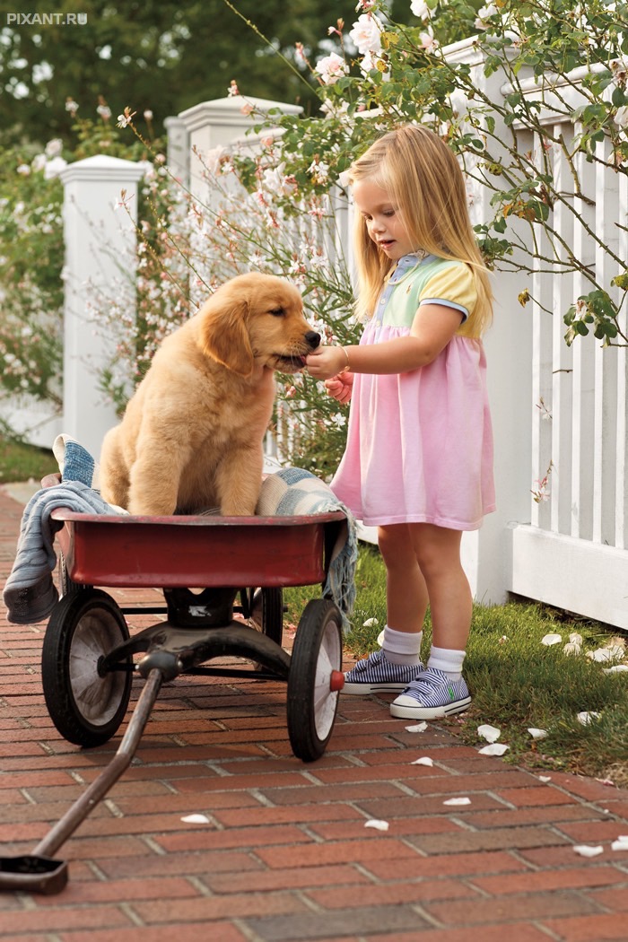 Играем в доктора. Вот эти ягоды, пациент, вам необходимо съесть.