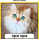 Как в разных странах мира подзывают кошек