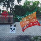 Кот и осьминог