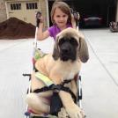 Малышка устала, малышке нужно поспать..