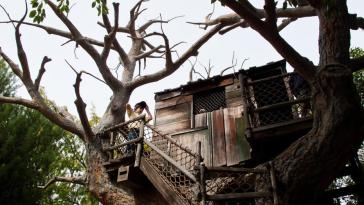 Оригинальные домики на деревьях (%%items%% фото)