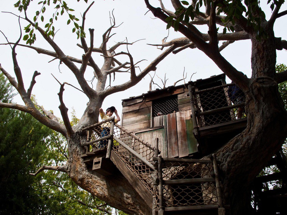 Оригинальные домики на деревьях (%%items%% фото)