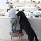 Подай-ка мне вон ту кастрюльку, помощник...