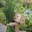 Приключения человечка из картонной коробки Данбо: %%items%% фото