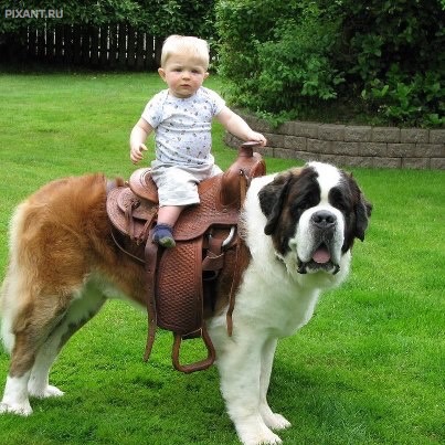 Шериф прибыл в город, всем разойтись!