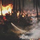 Сильнейшие пожары в Португалии