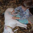 Вася, иди в морской бой играть на Бобике!