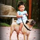 Вперёд мой быстрый мустанг. Принцесса повелевает тебе скакать!