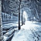 Зимний след (снегопад в HDR)