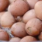 Фото Тонг Зи Дан из раздела  /