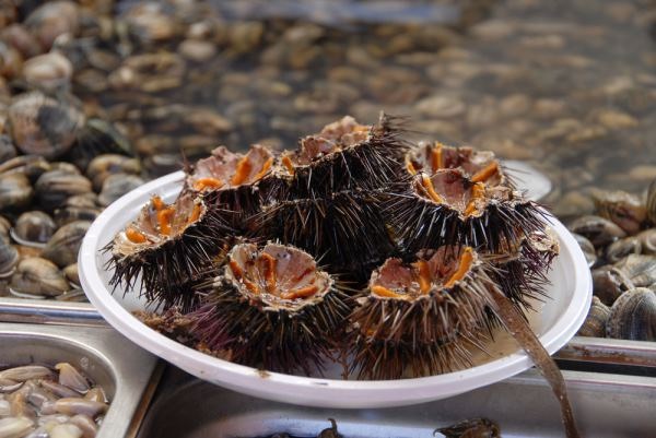 Фото Самая странная еда в мире (часть 3) из раздела  /
