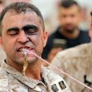 Фото В ливанском спецназе едят змея живьем из раздела  /