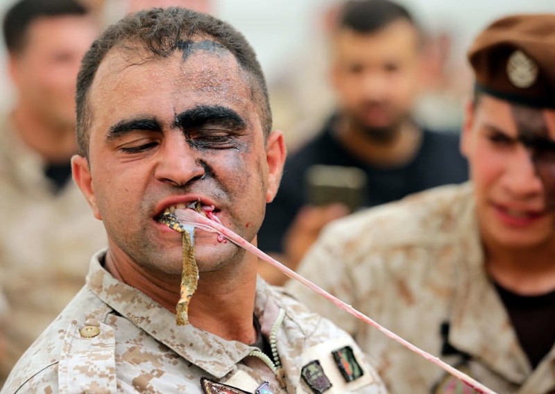 Фото В ливанском спецназе едят змея живьем из раздела  /