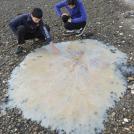 Фото Австралия II: Опасная природа из раздела  /