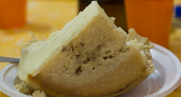 Фото Касу марцу из раздела  /