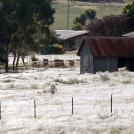 Австралия I: самые опасные животные австралии