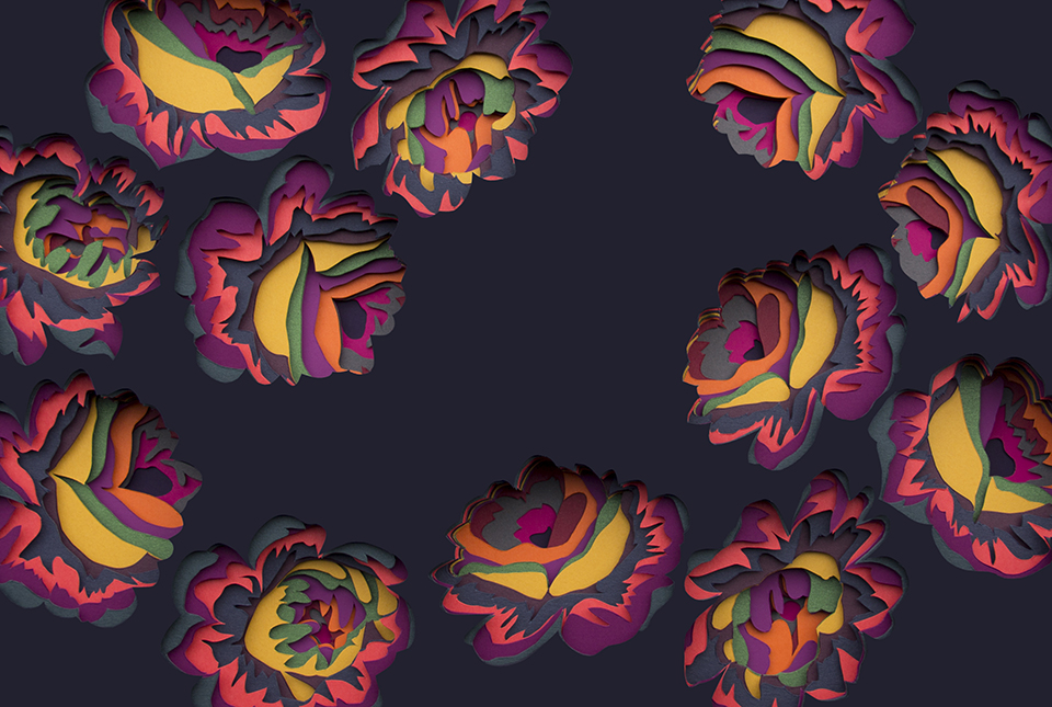 Фото Maud Vantours: француженка, которая любит резать бумагу из раздела  /