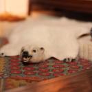 Фото Самый дорогой миниатюрный дом (30 фото) из раздела /