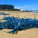 Фото Австралия II: Опасная природа из раздела  /