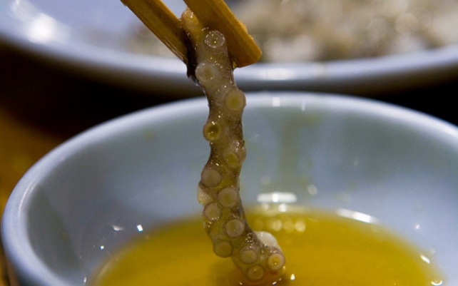 Фото Самая странная еда в мире (часть 3) из раздела  /