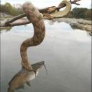 Фото Австралия II: Опасная природа из раздела  /