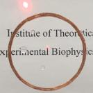 Фото Фильтры из нановолокон из раздела /