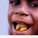 Клопы-вонючки