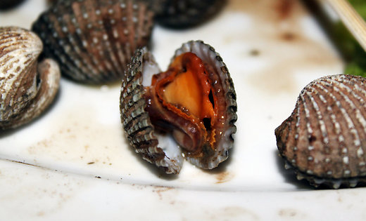 Кровавые моллюски