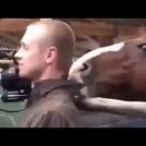 Лошадь, которая хотела внимания