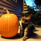 Самые интересные факты о Хэллоуине