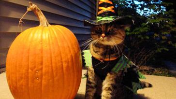 Самые интересные факты о Хэллоуине