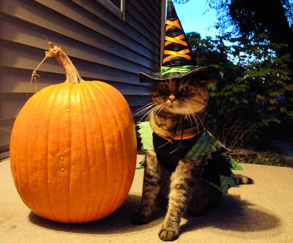 Самые интересные факты о Хэллоуине