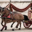 Самые интересные факты о такси