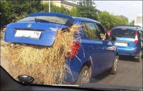 Самые интересные факты о такси 3