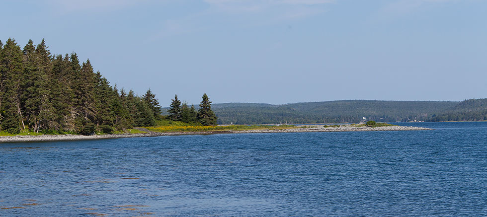 Ураганная Чаша (Канада) — $ 65 000