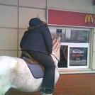 Фото Верхом за картошечкой из раздела  /