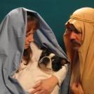 Фото Самые щекотливые семейные портреты (14 фото) из раздела  /