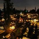 1. Происхождение