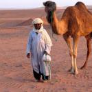 Фото Пустыня Сахара и ее обитатели (8 фото) из раздела  /