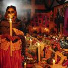 Фото 6.Оранжевые бархатцы из раздела  /