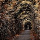 Фото Фотографии по теме «Скрытые миры» (часть 1) из раздела  /