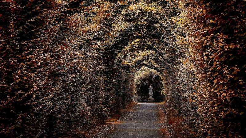 Фото Фотографии по теме «Скрытые миры» (часть 1) из раздела  /