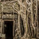 Фото Фотографии по теме «Скрытые миры» (часть 2) из раздела  /