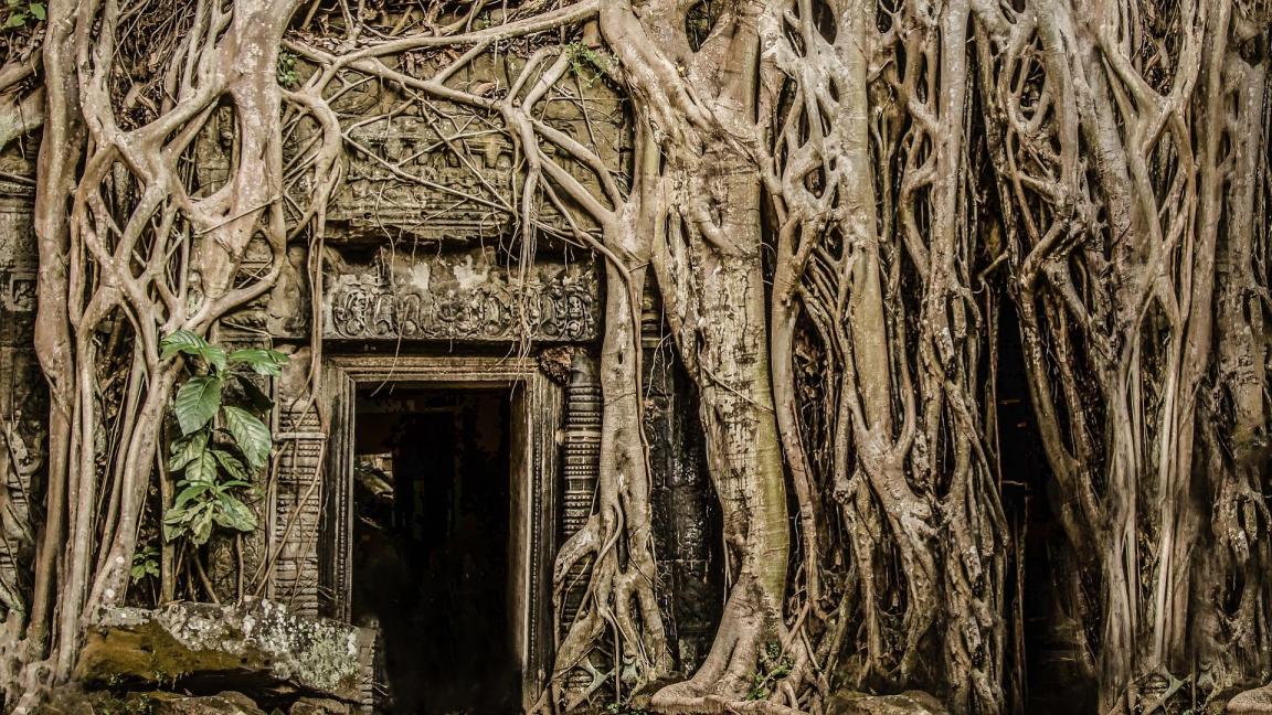 Фото Фотографии по теме «Скрытые миры» (часть 2) из раздела  /