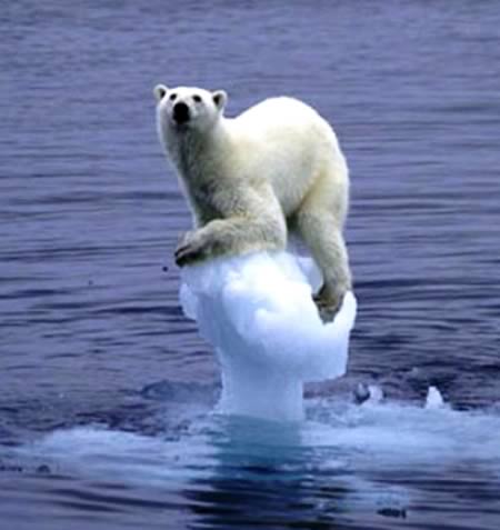 Фото Конец айсберга из раздела  /