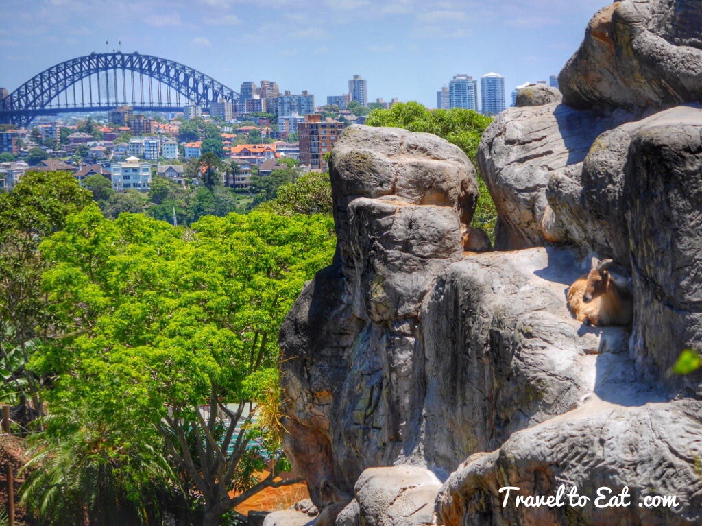 28d3e4f8a4824537d4c338a61c9bf131